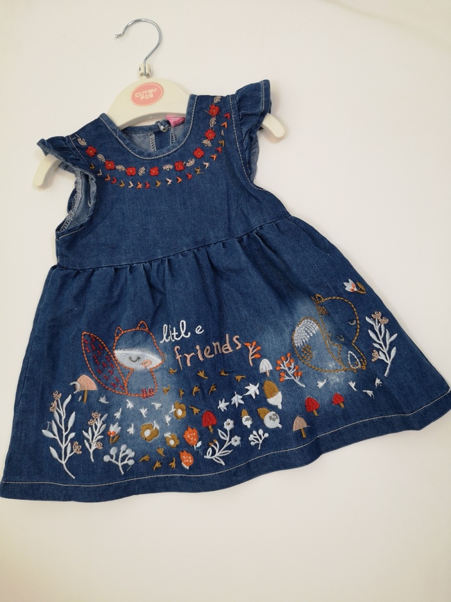 Denim Dress with Embroidery 1022